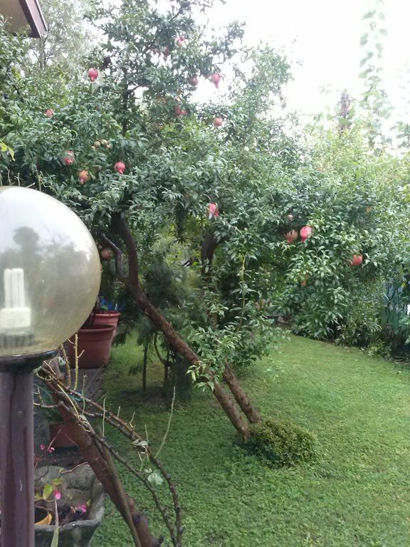 Casa Irene Bed & Breakfast Torri di Quartesolo Luaran gambar