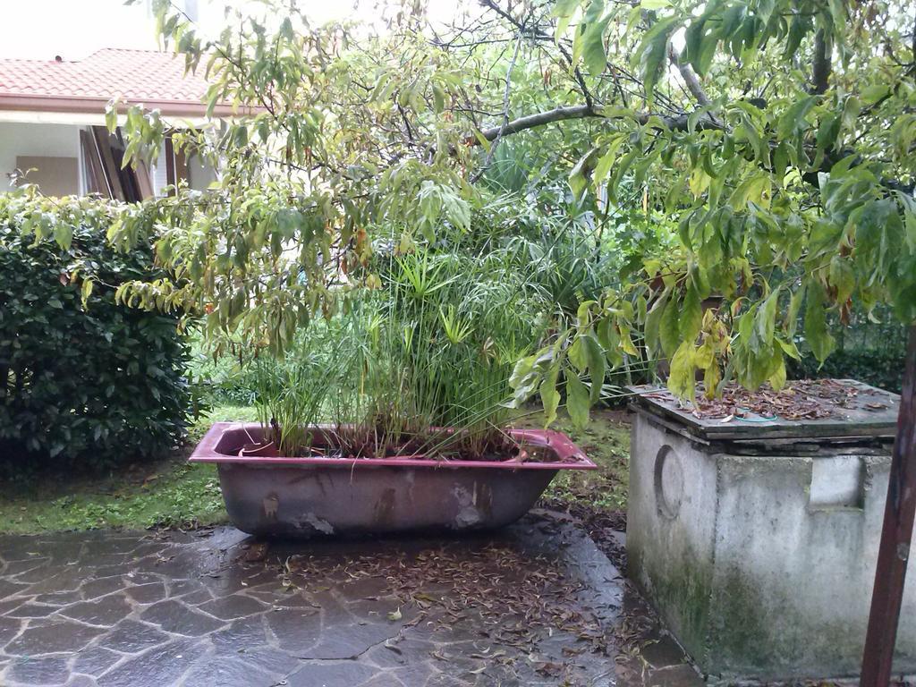 Casa Irene Bed & Breakfast Torri di Quartesolo Luaran gambar