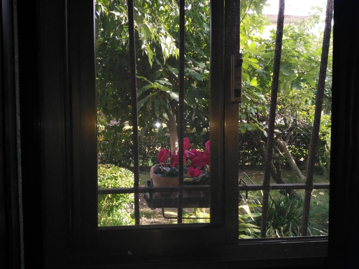 Casa Irene Bed & Breakfast Torri di Quartesolo Luaran gambar