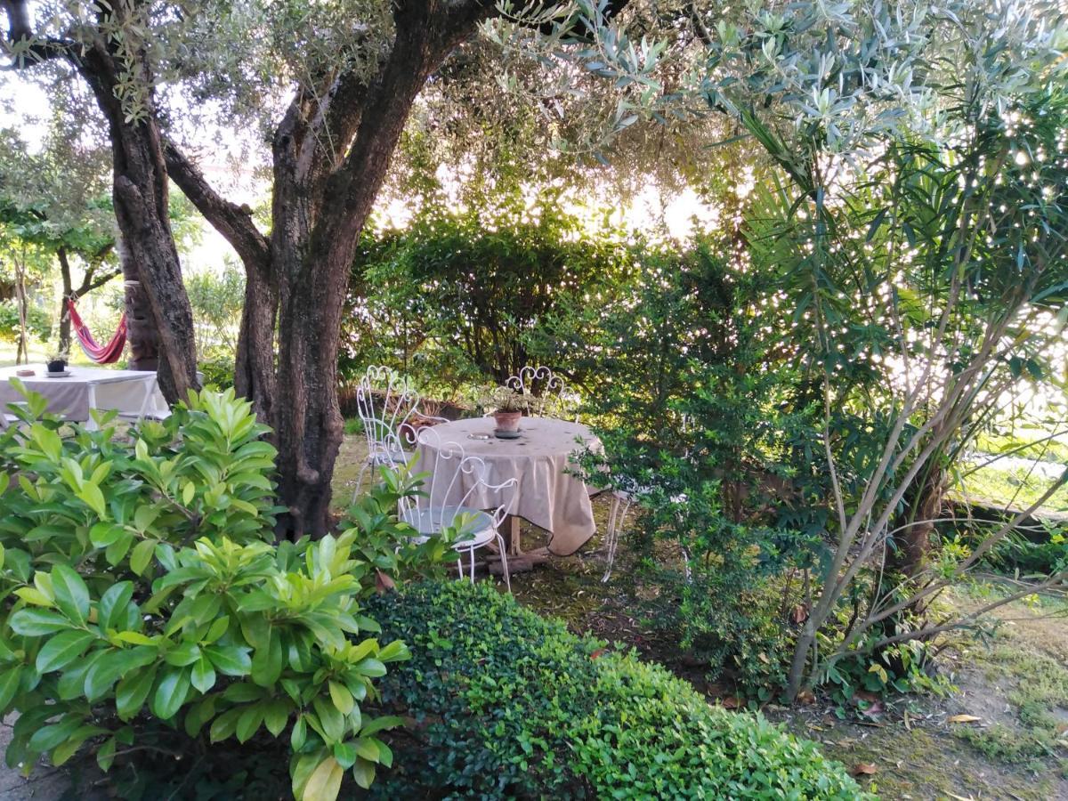 Casa Irene Bed & Breakfast Torri di Quartesolo Luaran gambar